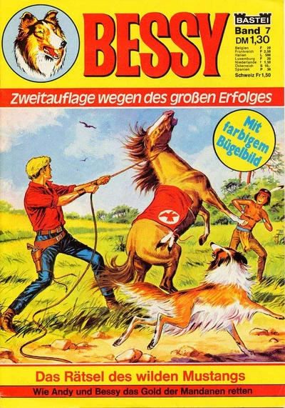 Cover of Das Ratsel des wilden Mustangs