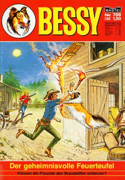 Cover of Der geheimnisvolle Feuerteufel