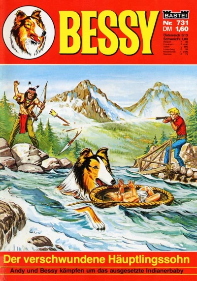 Cover of Der verschwundene Häuptlingssohn