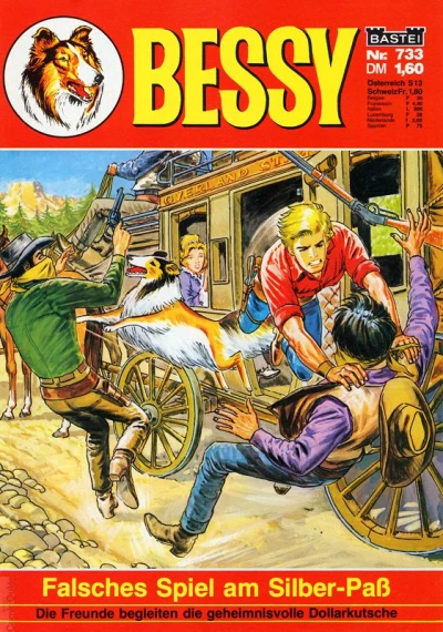 Cover of Falsches Spiel am Silber-Paß