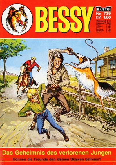 Cover of Das Geheimnis des verlorenen Jungen