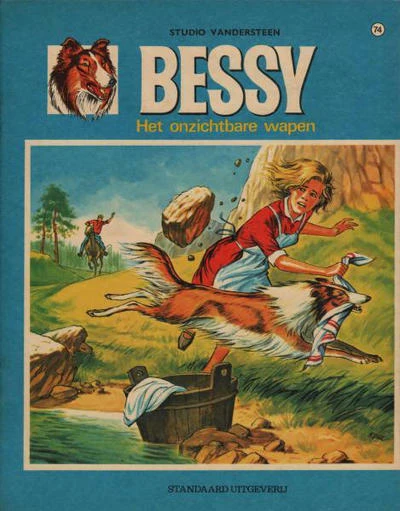 Cover of Het onzichtbare wapen