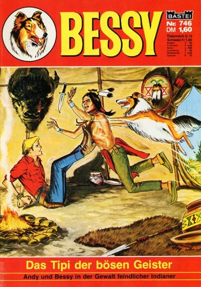 Cover of Das Tipi der bösen Geister