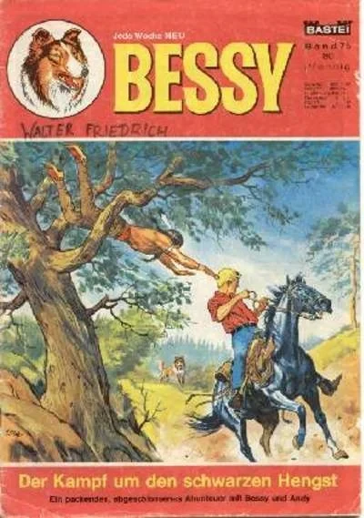 Cover of Der Kampf um den Schwarzen Hengst