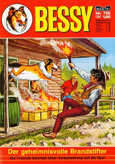 Cover of Der geheimnisvolle Brandstifter