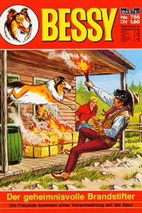 Der geheimnisvolle Brandstifter