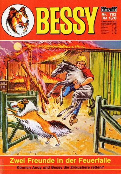 Cover of Zwei Freunde in der Feuerfalle