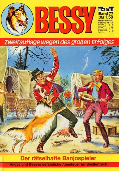 Cover of Der ratselhafte Banjospieler