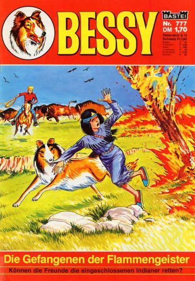 Cover of Die Gefangenen der Flammengeister