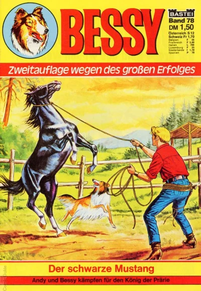 Cover of Der schwarze Mustang