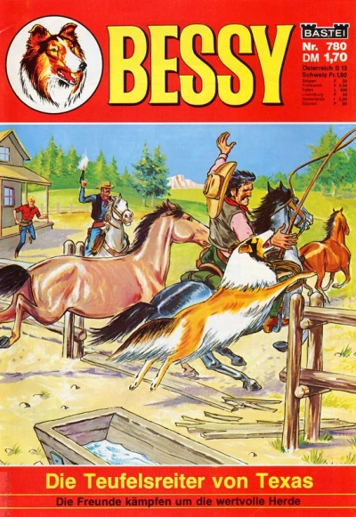 Cover of Die Teufelsreiter von Texas