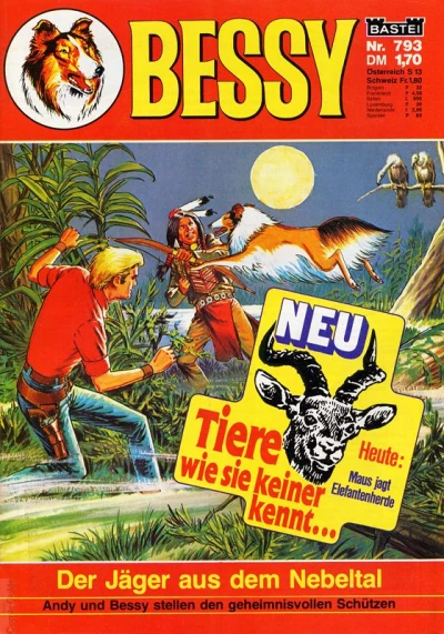 Cover of Der Jager aus dem Nebeltal