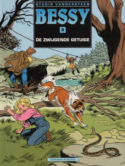 Cover of De zwijgende getuige