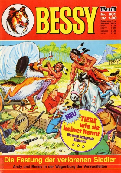 Cover of Die Festung der verlorenen Siedler