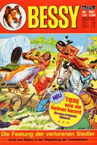 Die Festung der verlorenen Siedler