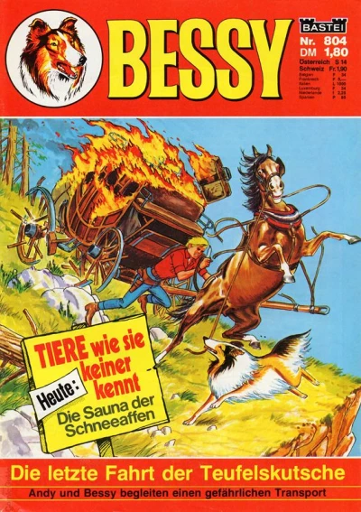 Cover of Die letzte Fahrt der Teufelskutsche