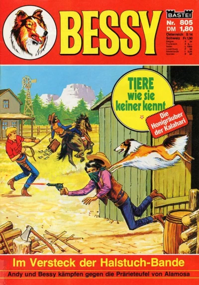 Cover of Im Versteck der Halstuch-Bande
