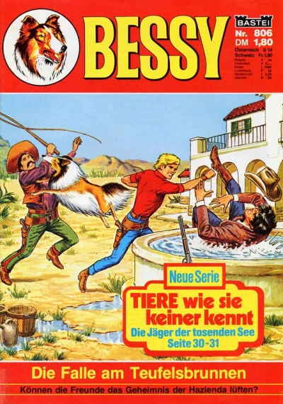 Cover of Die Falle am Teufelsbrunnen