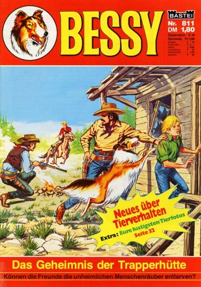 Cover of Das Geheimnis der Trapperhutte