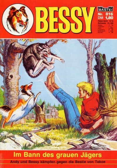 Cover of Im Bann des grauen Jagers