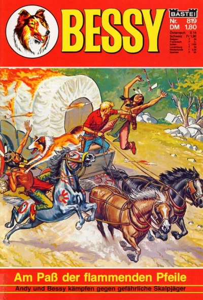 Cover of Am Pass der flammenden Pfeile