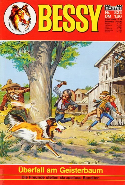 Cover of Uberfall am Geisterbaum