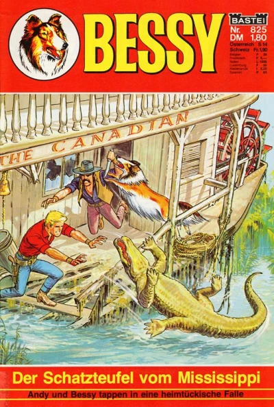 Cover of Der Schatzteufel vom Mississippi