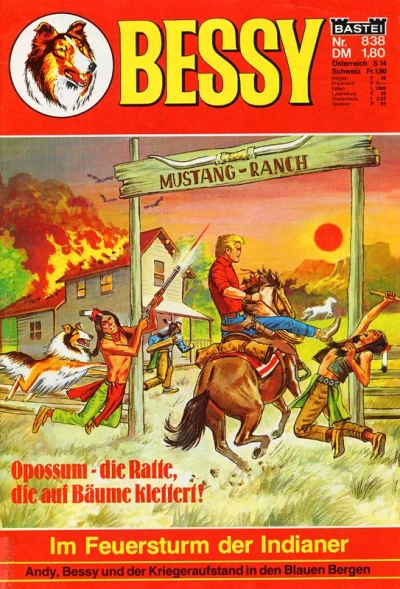 Cover of Im Feuersturm der Indianer