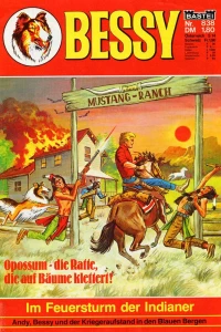 Im Feuersturm der Indianer