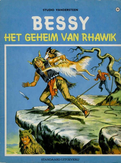 Cover of Het geheim van Rhawik