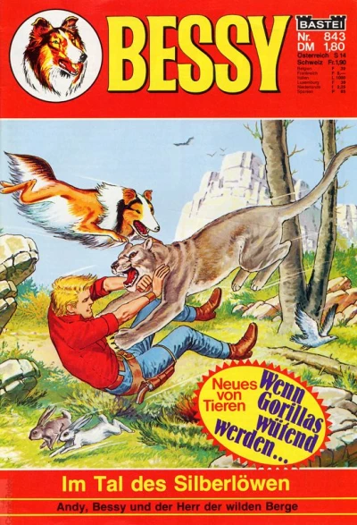 Cover of Im Tal des Silberlöwen