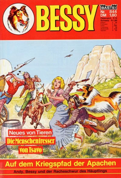 Cover of Auf dem Kriegspfad der Apachen