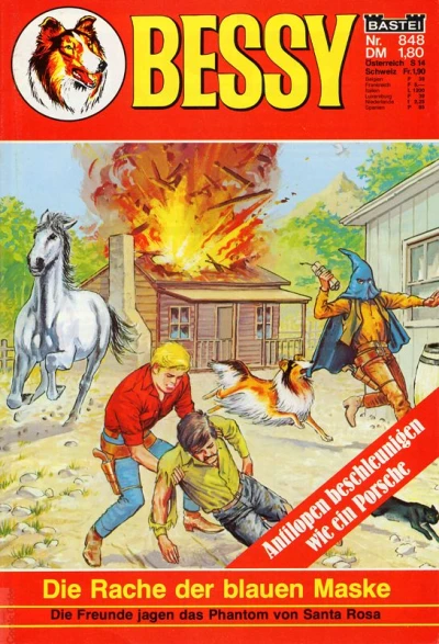 Cover of Die Rache der blauen Maske