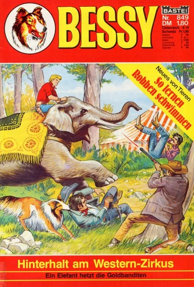 Cover of Hinterhalt am Western-Zirkus