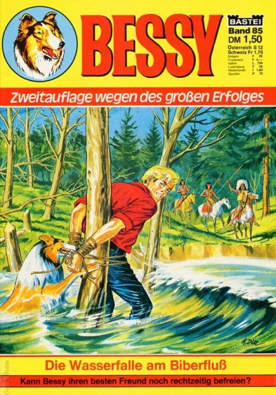 Cover of Die Wasserfalle am Biberfluss