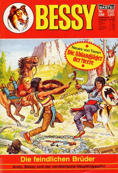 Cover of Die feindlichen Brüder