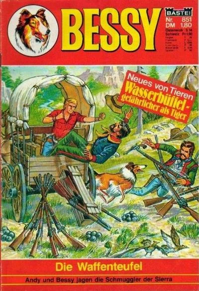 Cover of Die Waffenteufel