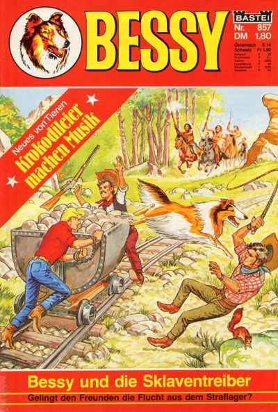 Cover of Bessy und die Sklaventreiber