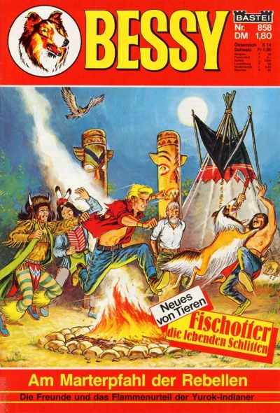 Cover of Am Marterpfahl der Rebellen