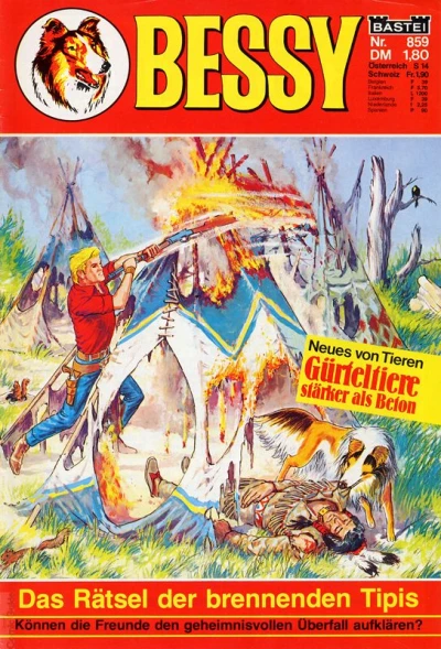 Cover of Das Rätsel der brennenden Tipis