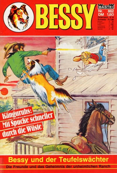 Cover of Bessy und der Teufelswächter