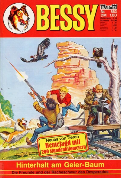 Cover of Hinterhalt am Geier-Baum