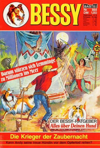 Cover of Die Krieger der Zaubernacht