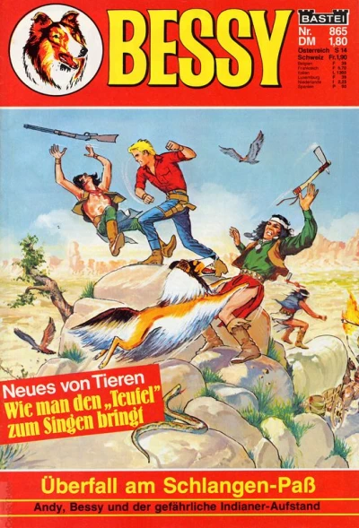 Cover of Überfall am Schlangen-Paß