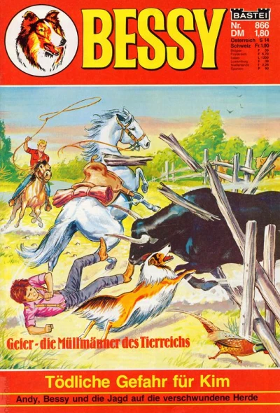 Cover of Tödliche Gefahr fur Kim