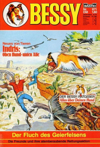 Cover of Der Fluch des Geierfelsens