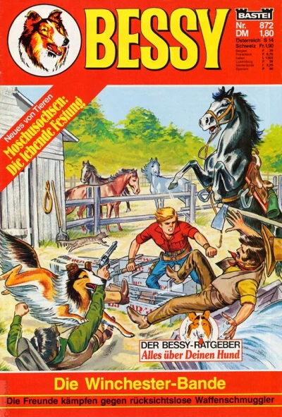 Cover of Die Winchester-Bande