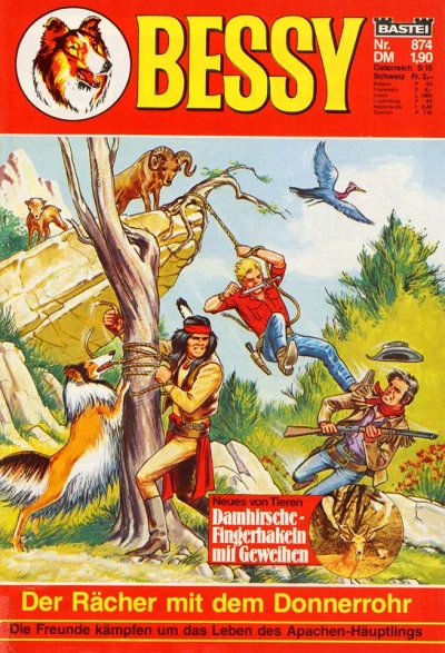 Cover of Der Rächer mit dem Donnerrohr