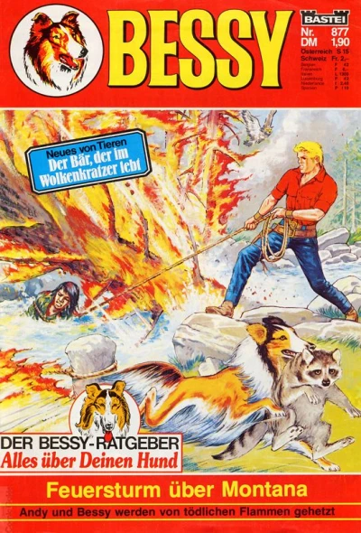 Cover of Feuersturm über Montana