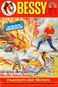 Feuersturm über Montana
